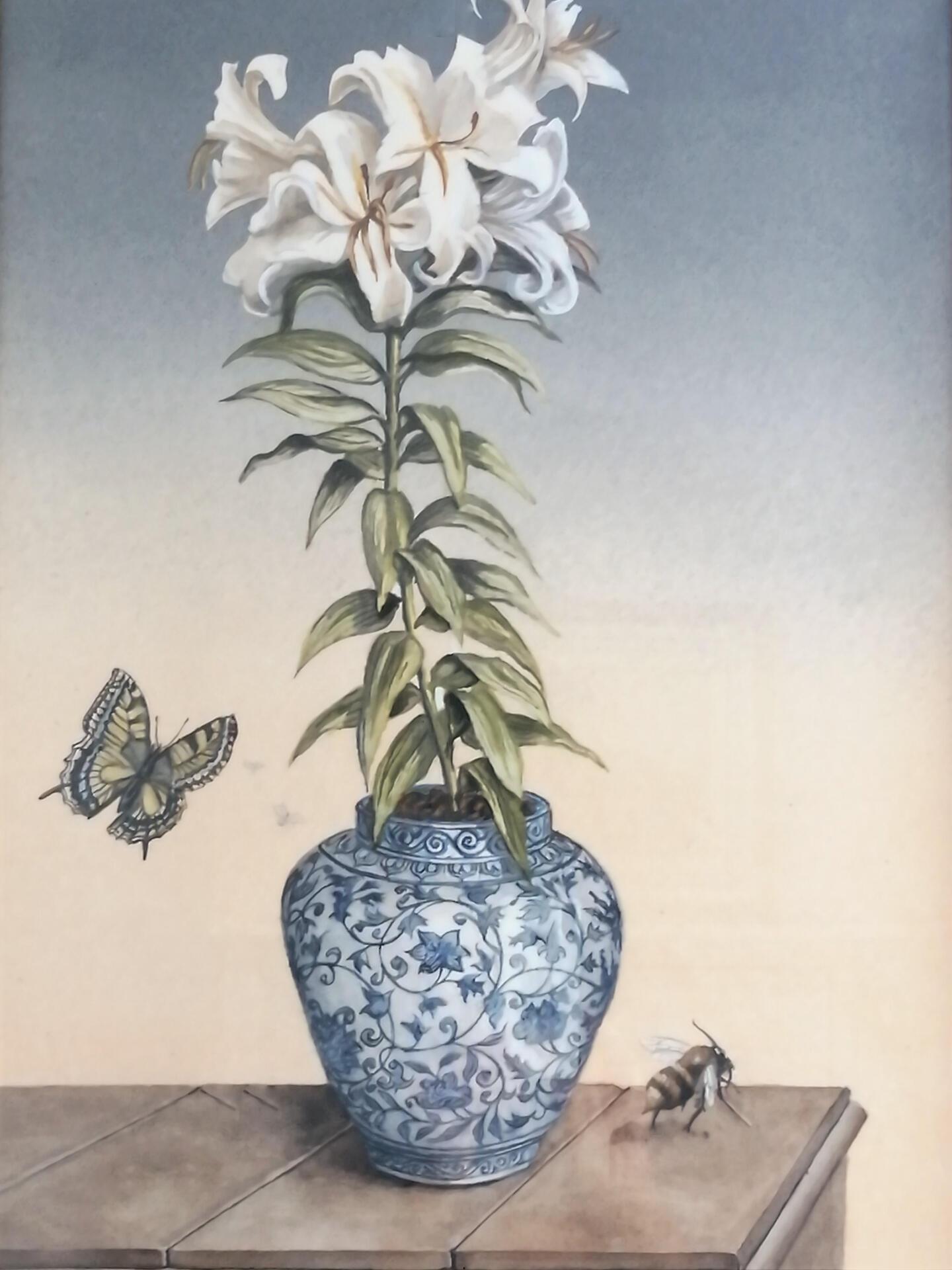 A White Lily